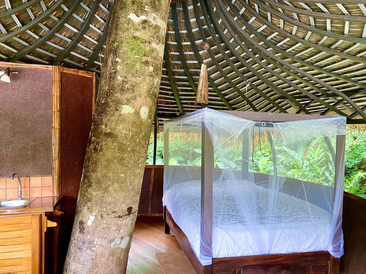 Cabanas Rio Encantado Alto Boquete Exteriör bild